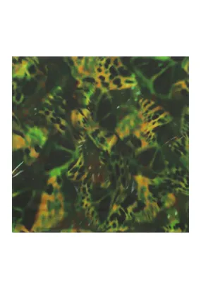 Butterfly Silk Printed Scarf