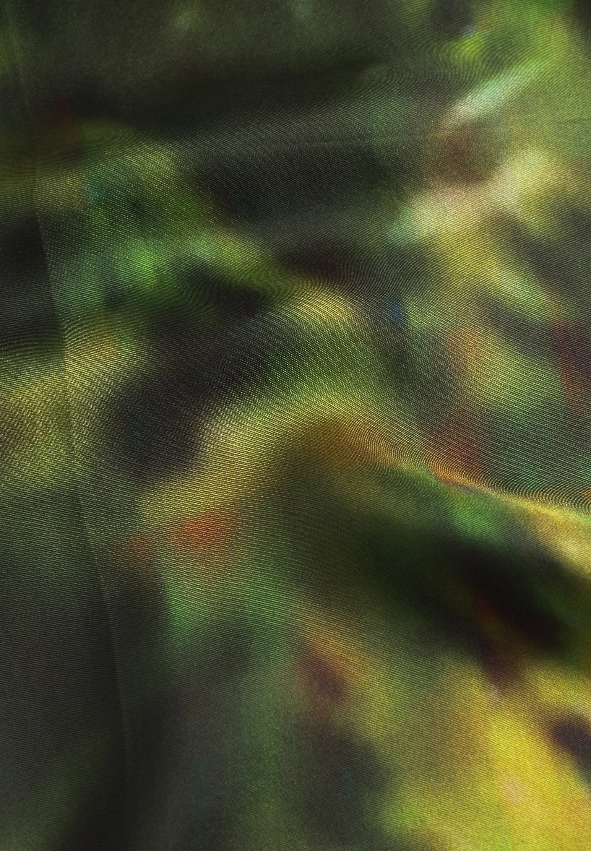 Butterfly Silk Printed Scarf