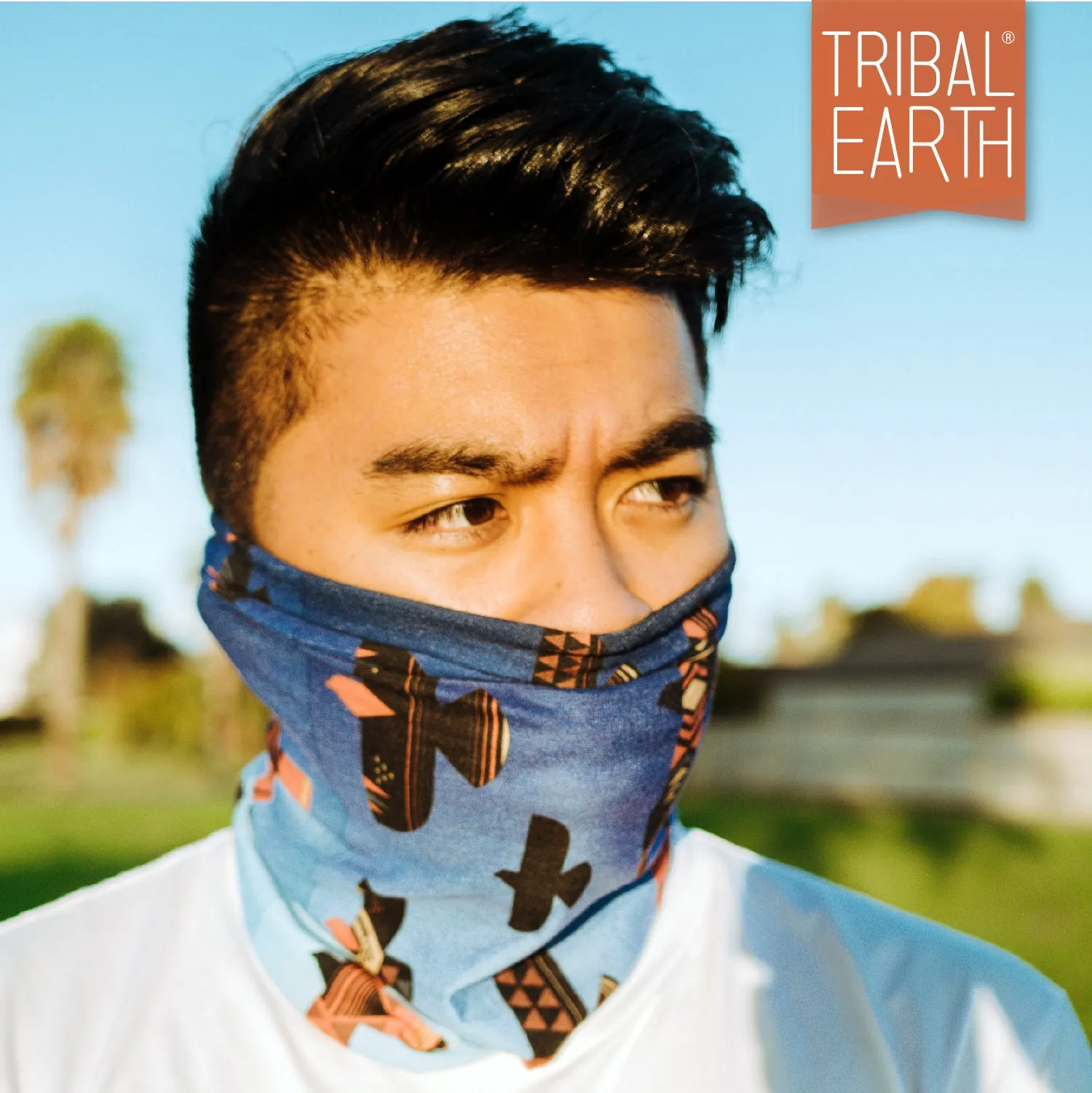 Multi Scarf | Face Mask | Bandana | Headband - Aztec